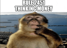 a picture of a monkey with the words rule 2451 thinking money on it