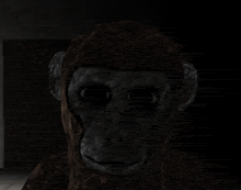 a close up of a monkey with black eyes