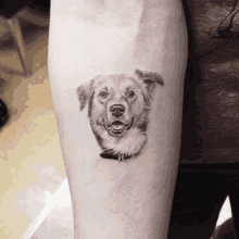 a person has a tattoo of a dog on their forearm