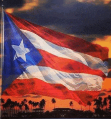 a large red , white , and blue flag is waving in the wind with palm trees in the background .