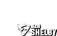 a white logo that says ozn shelby