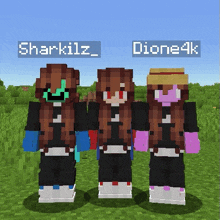 three girls are standing next to each other in a field in minecraft .