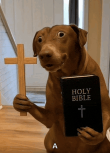 a dog is holding a holy bible and a cross