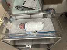 a newborn baby wrapped in a white blanket is in a clear crib