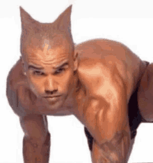 a muscular man with a cat 's head is doing push ups on his knees .