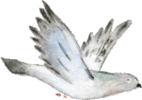 a watercolor painting of a pigeon flying with its wings outstretched