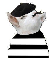 a white cat wearing a black hat and a black and white striped shirt