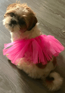 a small dog wearing a pink tutu is sitting on a wooden floor