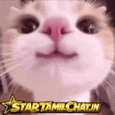 a close up of a cat 's face with a star tamilchat.in logo in the corner