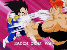 a cartoon of a man kicking another man with the words kadin owns you on the bottom