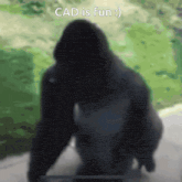 a picture of a gorilla with the words cad is fun