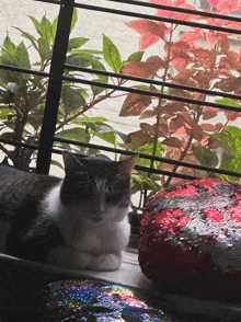 a cat is laying on a window sill next to a red pillow