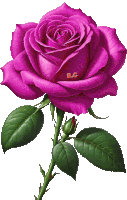 a purple rose with green leaves and the letters a.c on it