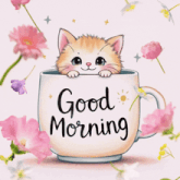 a kitten is sticking its head out of a cup that says good morning