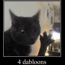 a picture of a cat with the words 4 dabloons on it