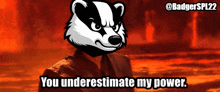 a badger with the words " you underestimate my power " on the bottom