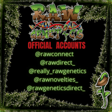 a poster that says raw genetics official accounts on it