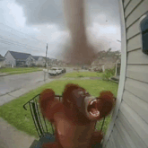 a stuffed animal is standing in front of a house with its mouth open and a tornado in the background .
