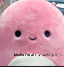 a pink stuffed animal with a smiling face and the words `` bestie i 'm at my fucking limit '' .