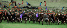 a large group of soldiers are marching in a field and their faces are painted with the letters bb