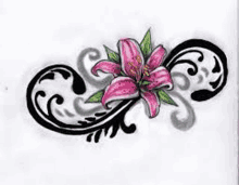 a drawing of a pink lily with swirls around it .