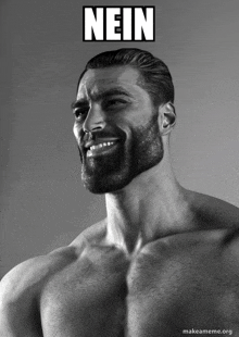 a shirtless man with a beard is smiling with the word nein above his head