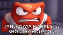 a cartoon character with a very angry face and the words `` tanjanaya markesha shontay houston '' .
