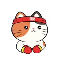 a cat wearing boxing gloves and a headband with sk on it