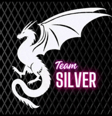 a white dragon on a black background with team silver written below it