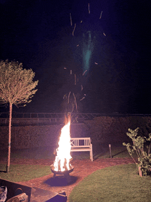 a fire is burning in a garden at night