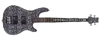 a guitar with sparkle tags.com on it