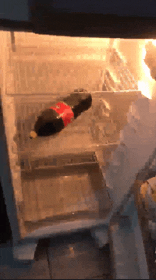 a bottle of coca cola is laying on the bottom shelf of an open refrigerator