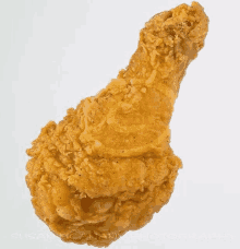 a close up of a fried chicken leg with the words susan mccartney photography written below it