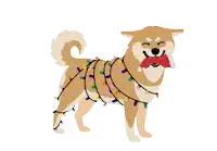 a dog is wrapped in christmas lights and has a santa hat on its head