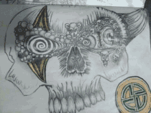 a drawing of a skull with a bird on it and a celtic symbol