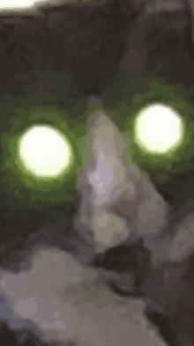 a close up of a cat 's face with green eyes glowing .