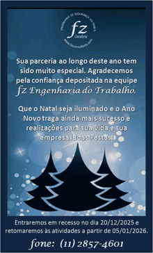 a christmas greeting card in portuguese with a christmas tree on it