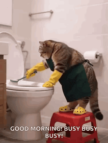 a cat wearing rubber gloves and an apron is cleaning a toilet .