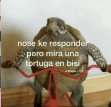 a picture of a turtle riding a bike with the caption nose ke responder pero mira una tortuga en besi