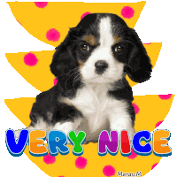 a black and white puppy is sitting in front of a yellow circle that says very nice