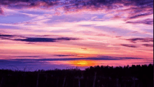 a sunset with purple and pink clouds and a silhouette of trees in the foreground