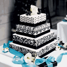 a black and white cake with a blue ribbon around it