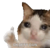 a cat is giving a thumbs up sign and crying .