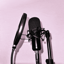 a black microphone on a stand with a pop filter attached to it