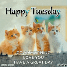 four kittens are sitting on a couch with the words happy tuesday good morning love you have a great day .