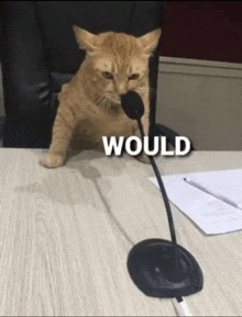 a cat sitting at a desk with a microphone and the word would written on the bottom