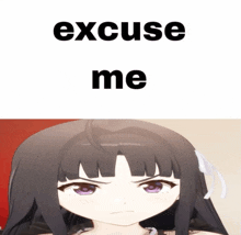 a picture of a girl with the words " excuse me " below her