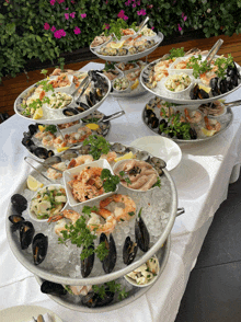 several trays of seafood on ice are on a table