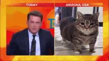 a man in a suit and tie is talking to a cat from arizona usa