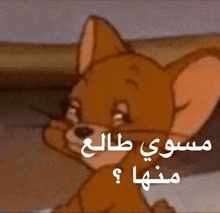 a close up of a cartoon cat with arabic writing behind it